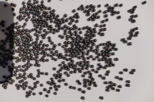 屏幕截圖 2024-11-12 135307.png